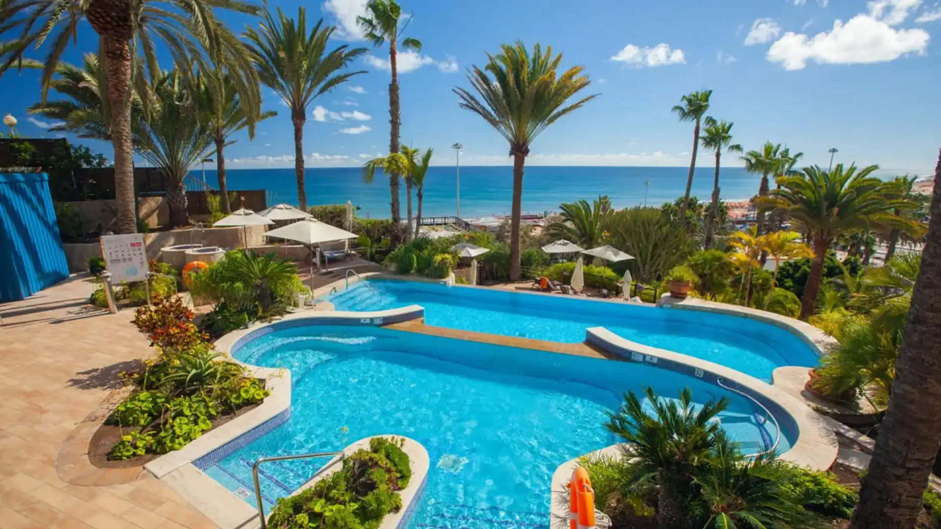 Curved resort pool with palm trees and ocean view.