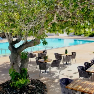 Poolside patio with dining tables under shade tree.