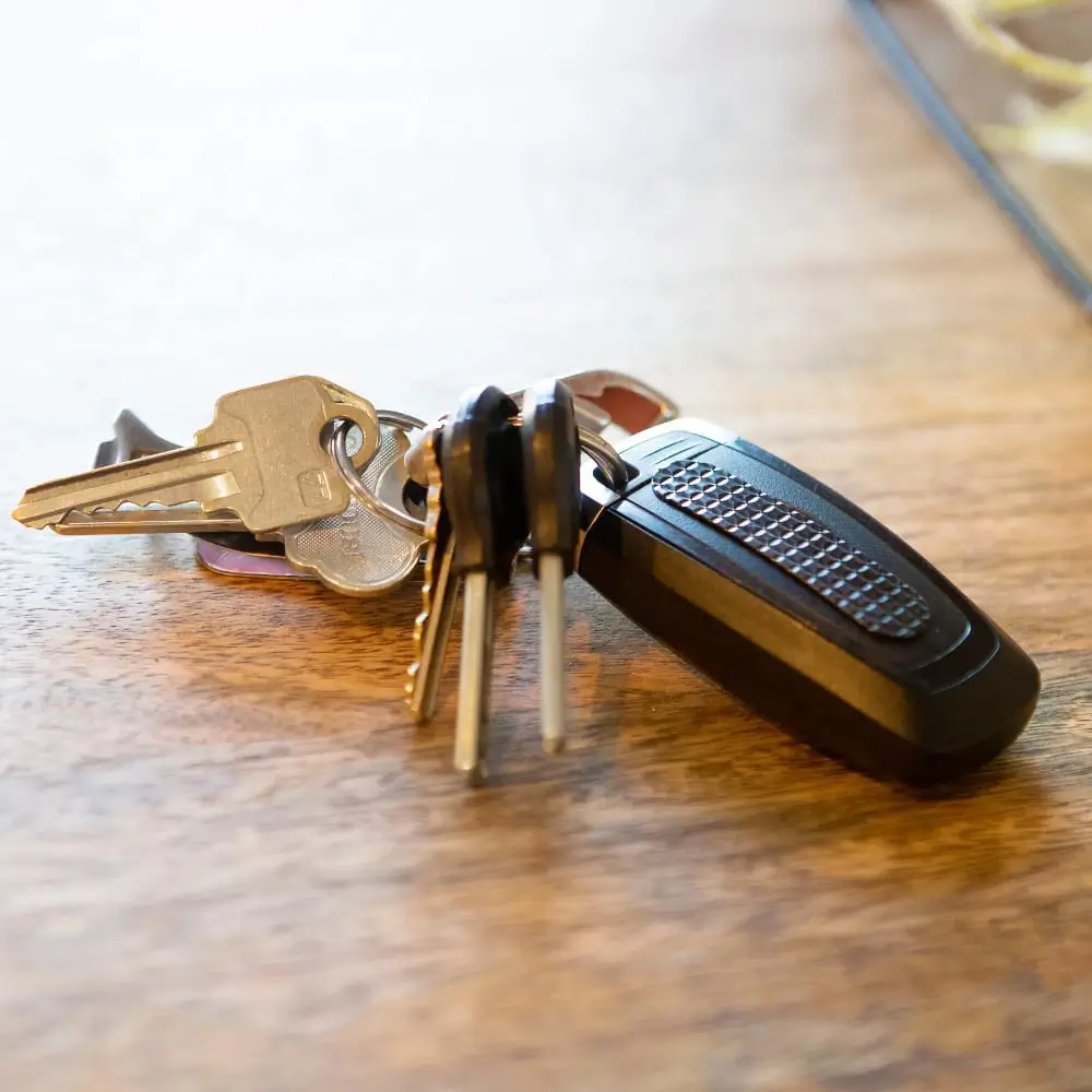 Cat Tongue Grip Tape On Car Keys