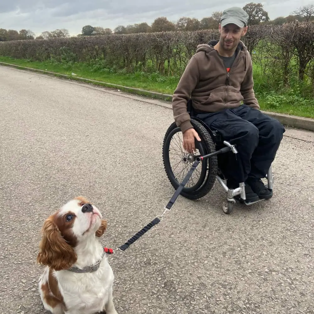Adult In Wheelchair Using Pet Packwhile Out With Their Dog