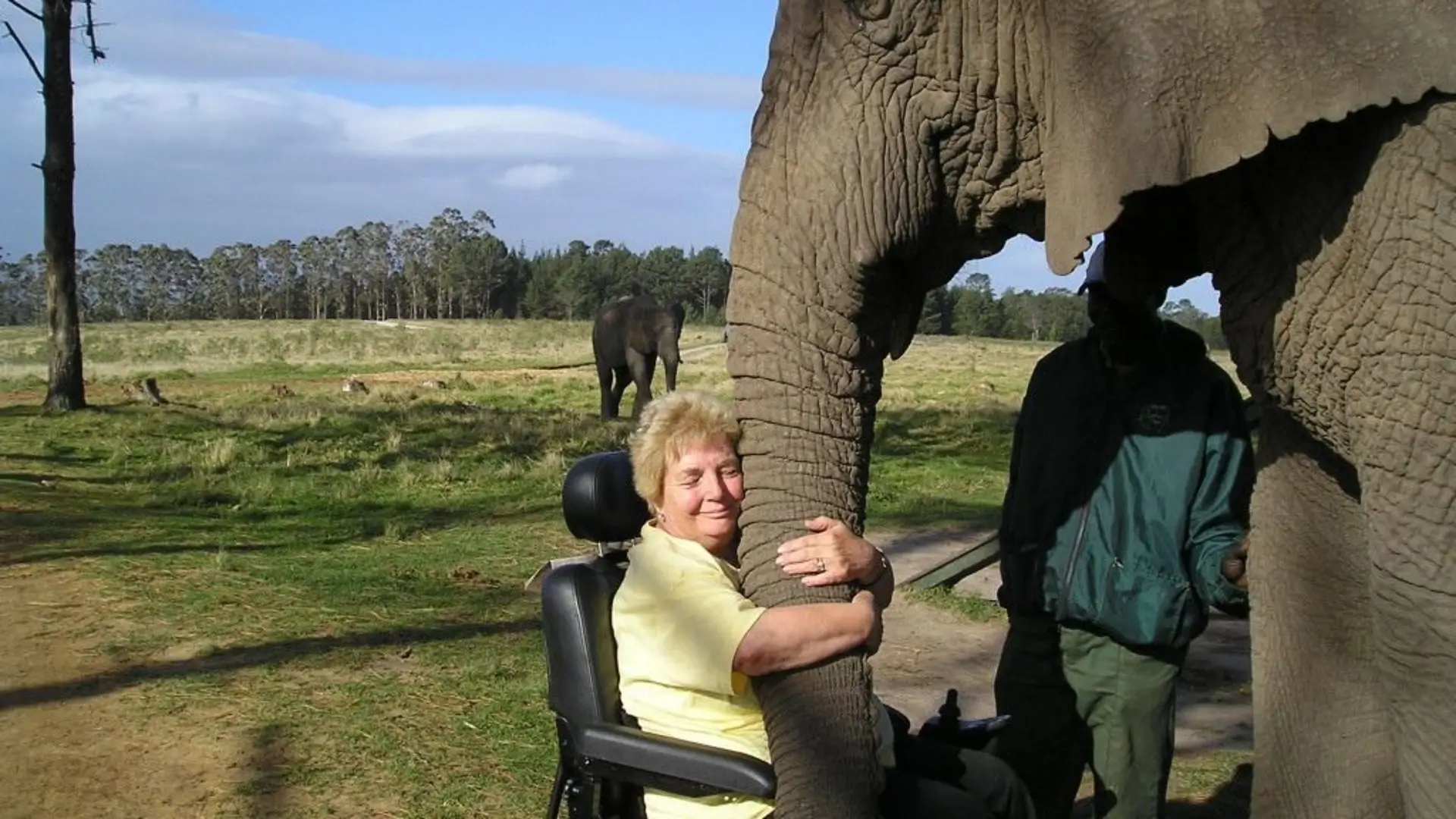 Woman in wheelchair hugging elephant's trunk.