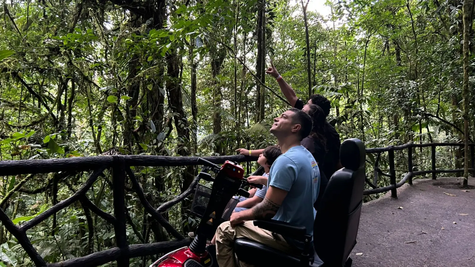 Group on mobility scooters looking up in rainforest.