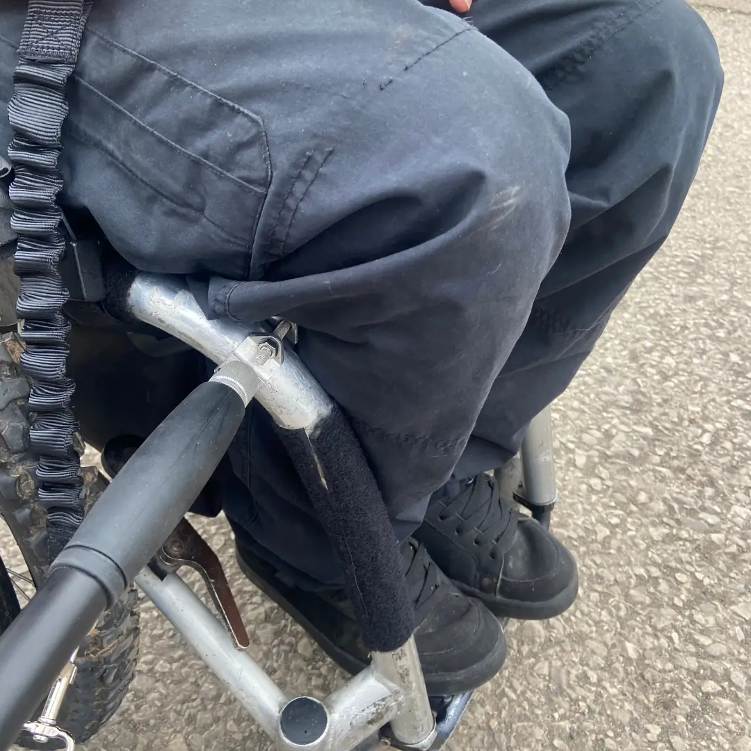 Wheelchair Dog Lead Attached To Wheelchair