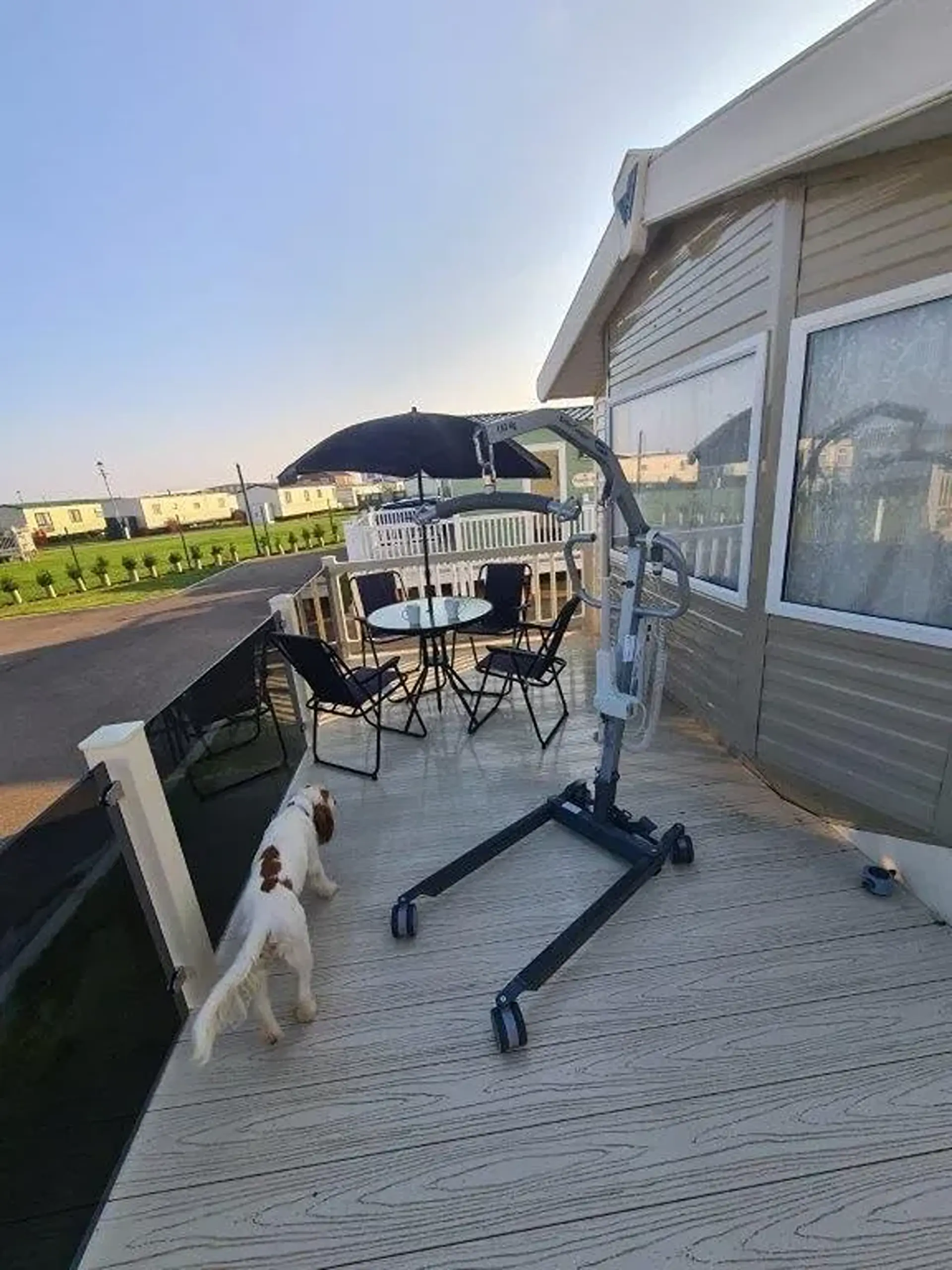 Mobile hoist parked on decking beside a table and umbrella, dog walking past.