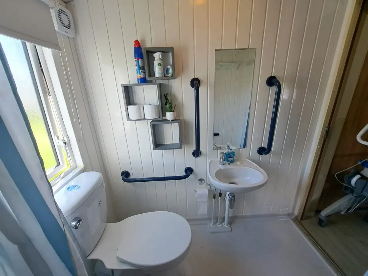 Bathroom with toilet, sink, and blue grab rails.