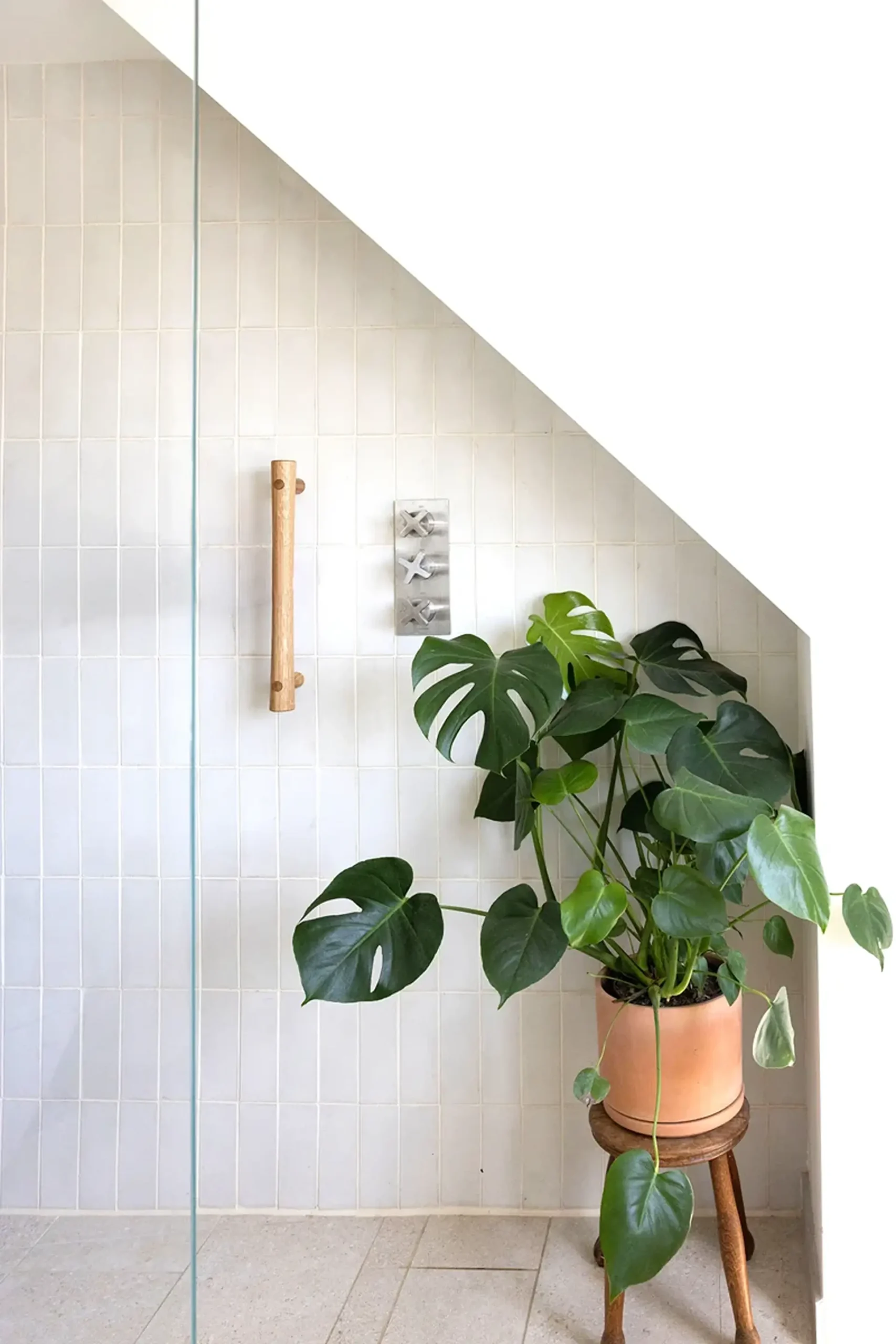 Oak grab rail on tiled wall by a shower screen and plant.